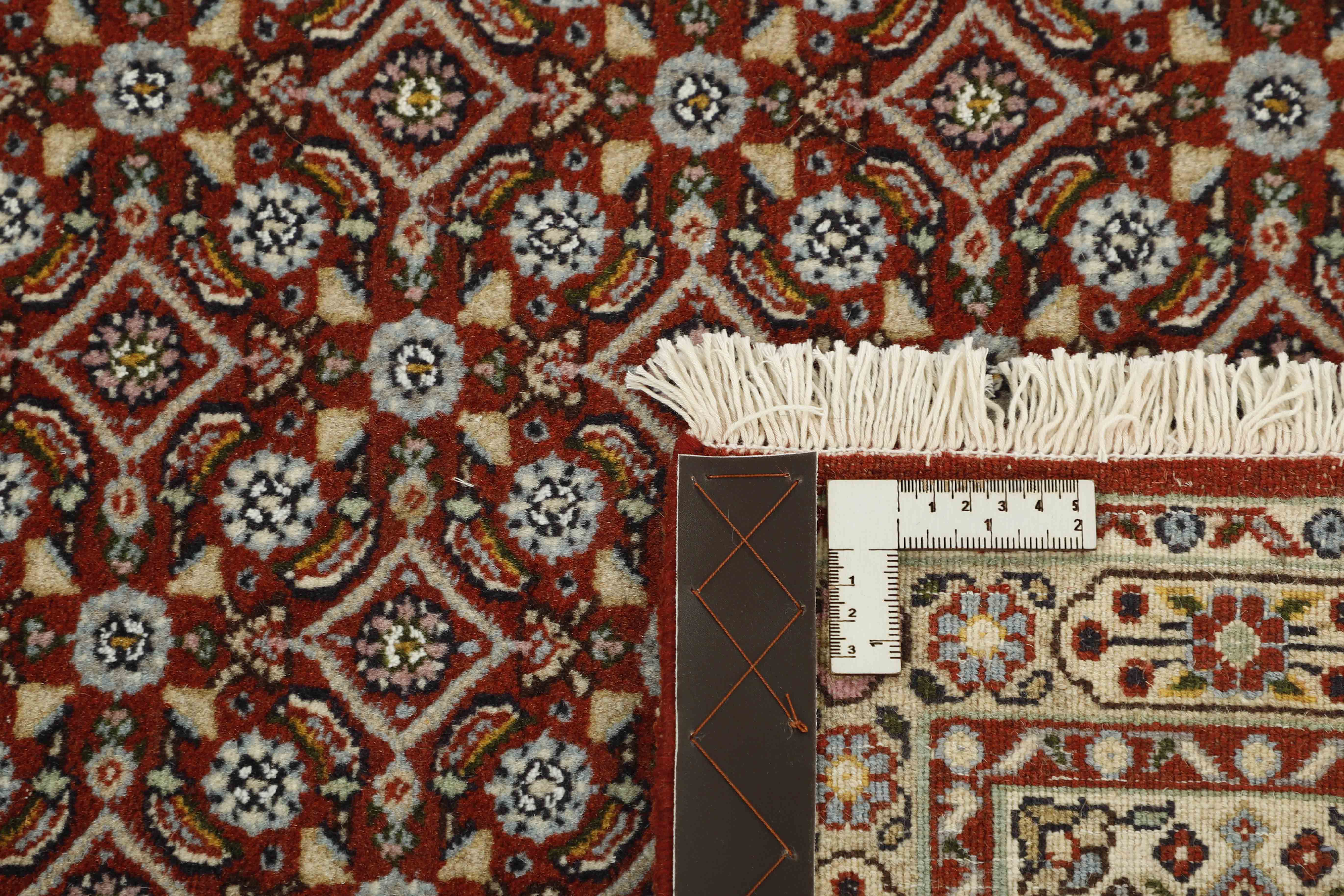 Moud Mahi 233x167