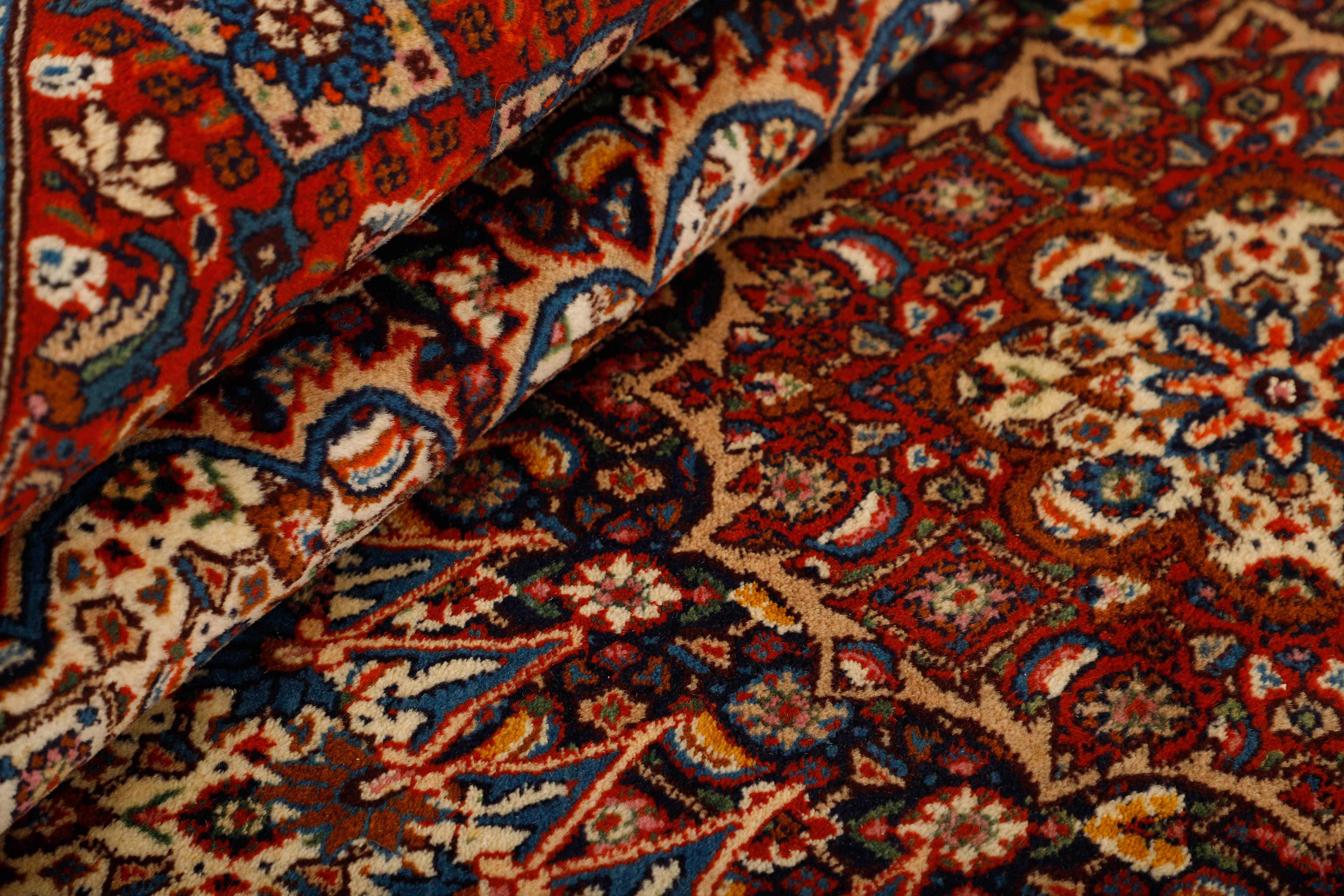 Moud "Mahi" 302 x 201