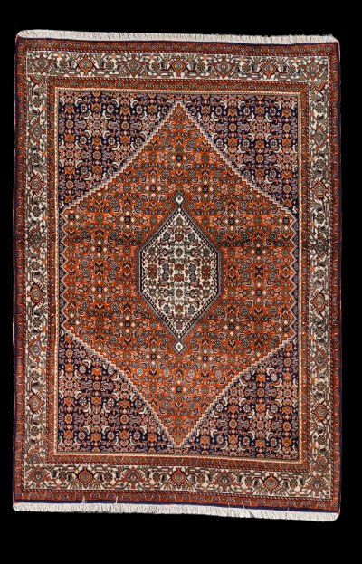 Bidjar Fine Tekab 171x110