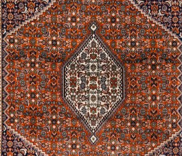 Bidjar Fine Tekab 171x110