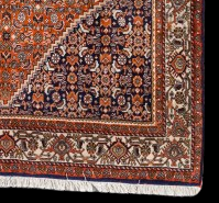 Bidjar Fine Tekab 171x110