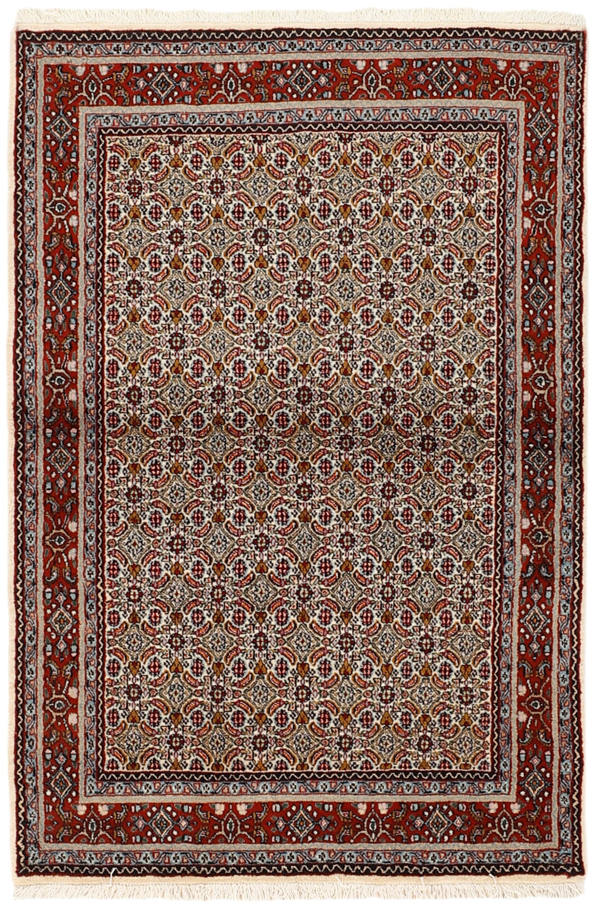 Moud Mahi 150 x 101