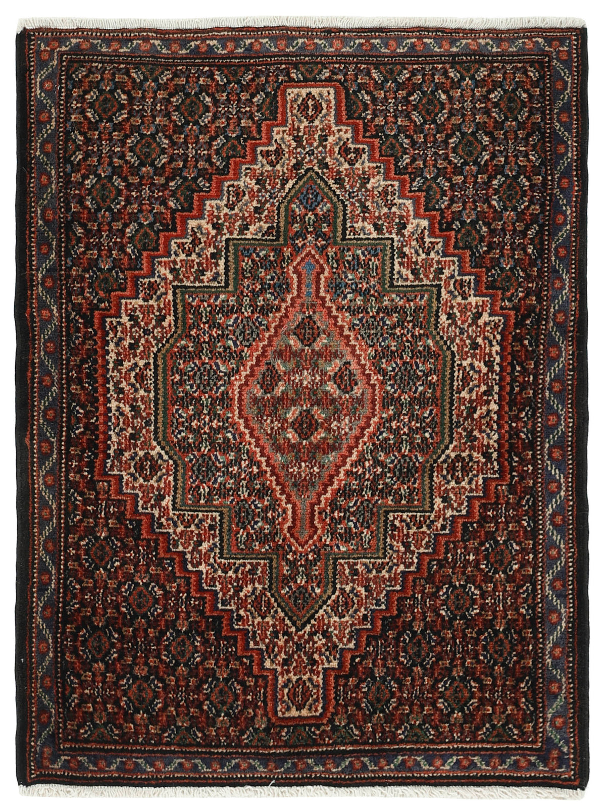 Senneh 95 x 72