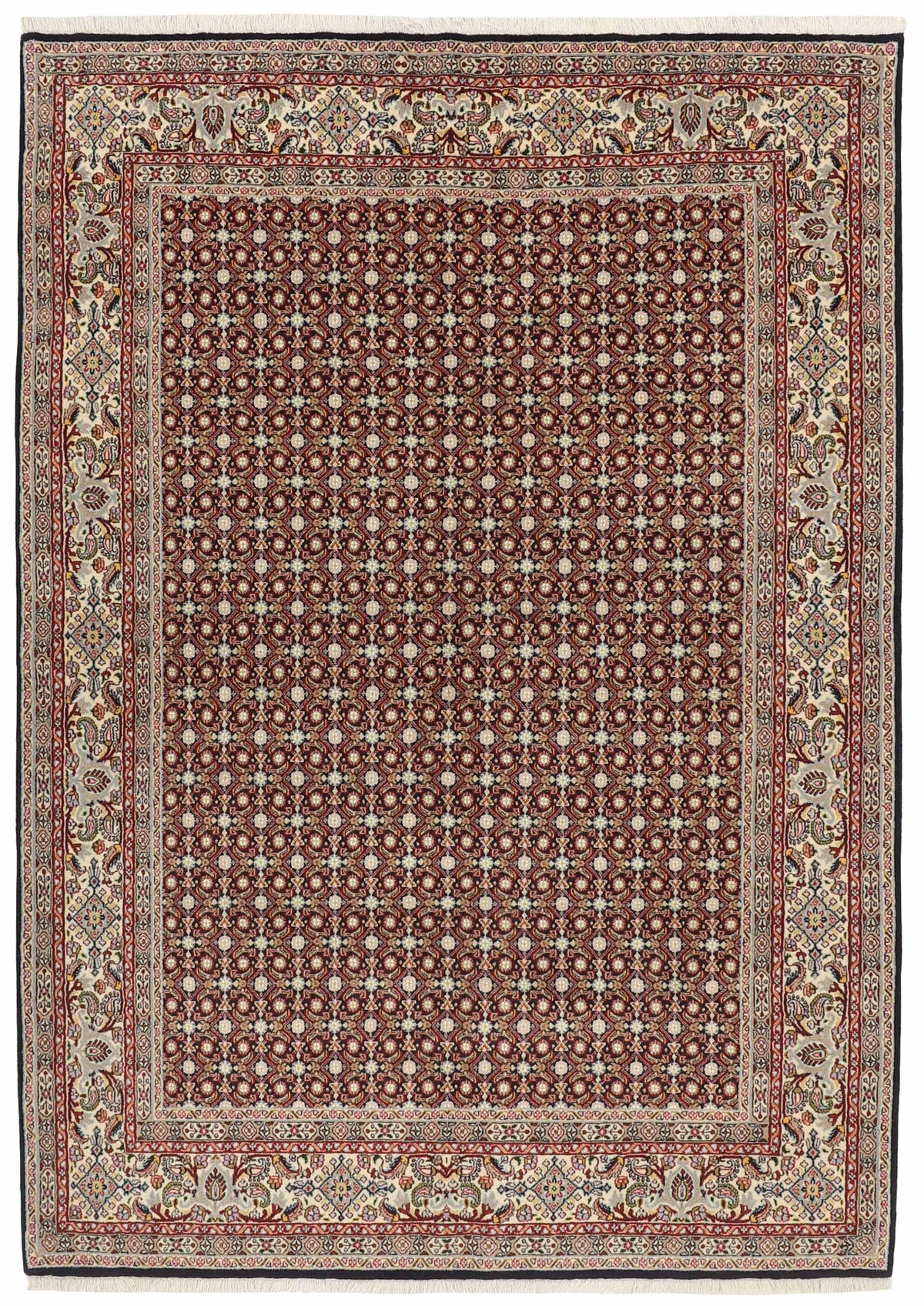 Moud Mahi 247 x 174