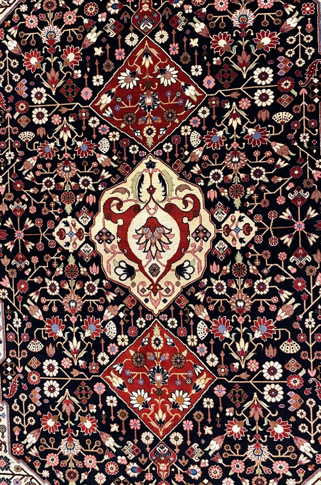 Fine Sarough 288x190