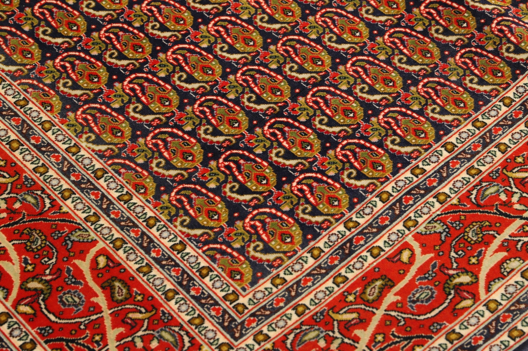 Tabriz 50 Raj Mahi 197 x 147