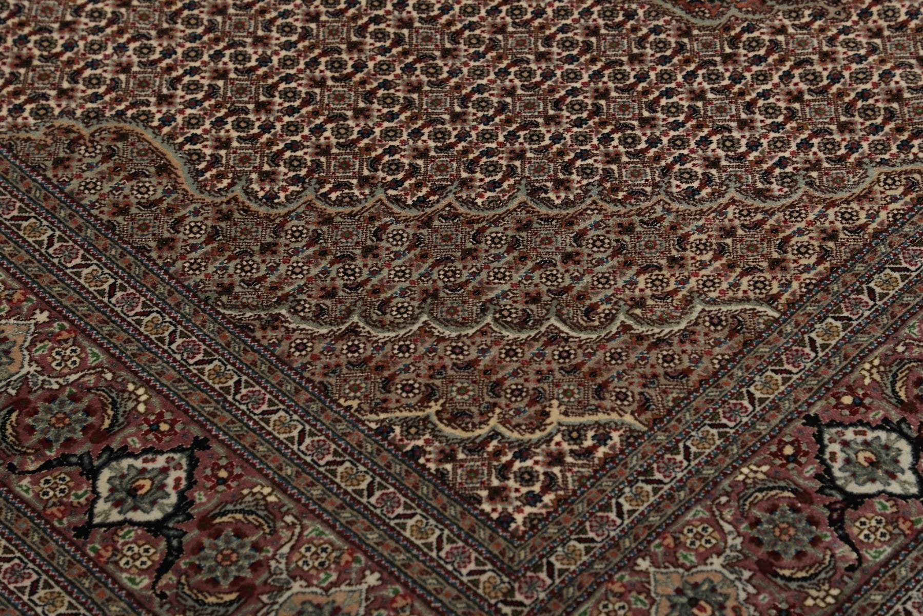 Tabriz 50 Raj Mahi 200 x 159