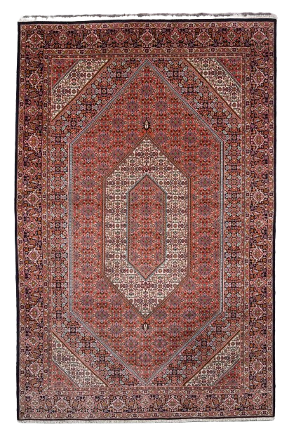 Bidjar FINE Tekab 315 x 205