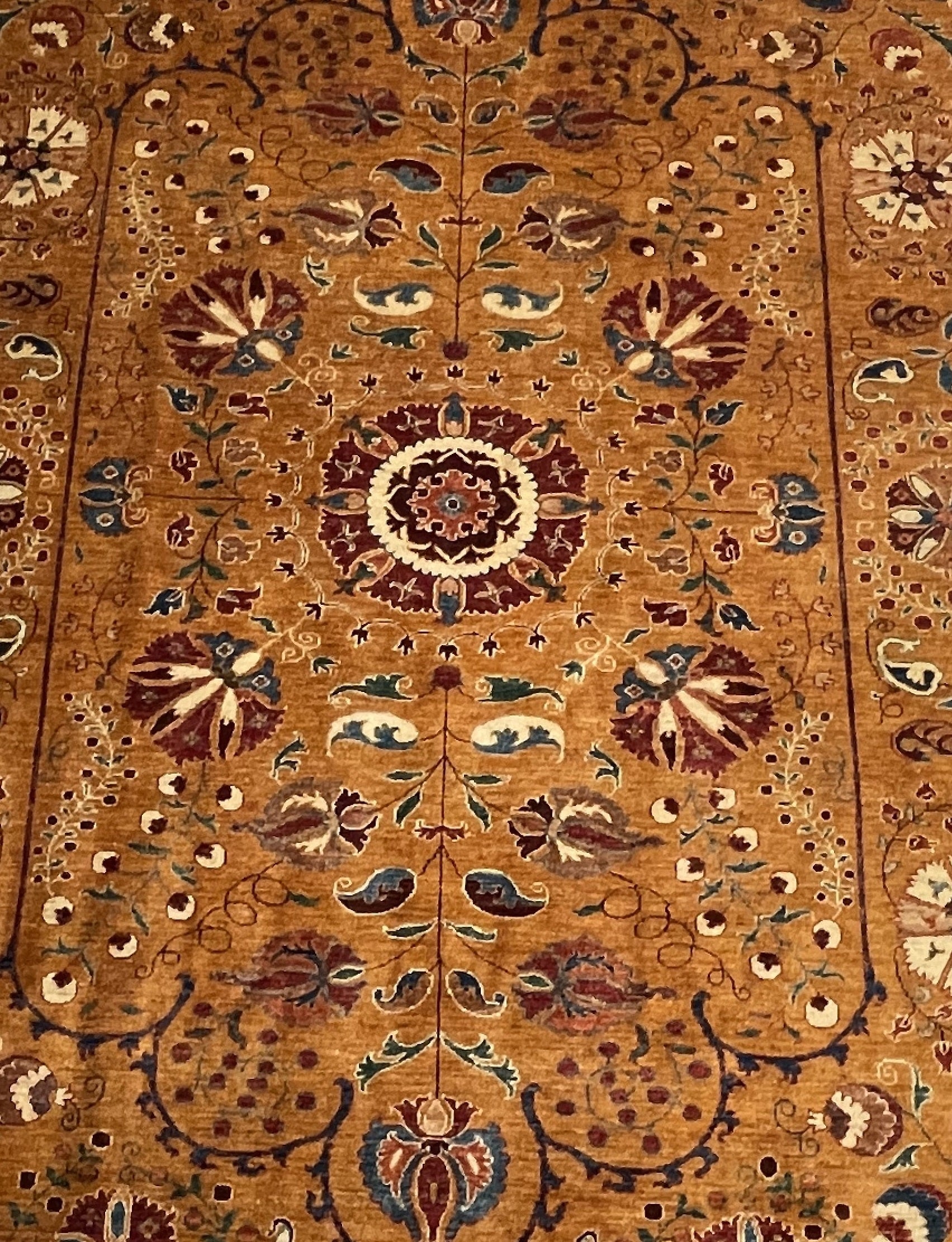 Aryana Modern 307 x 215