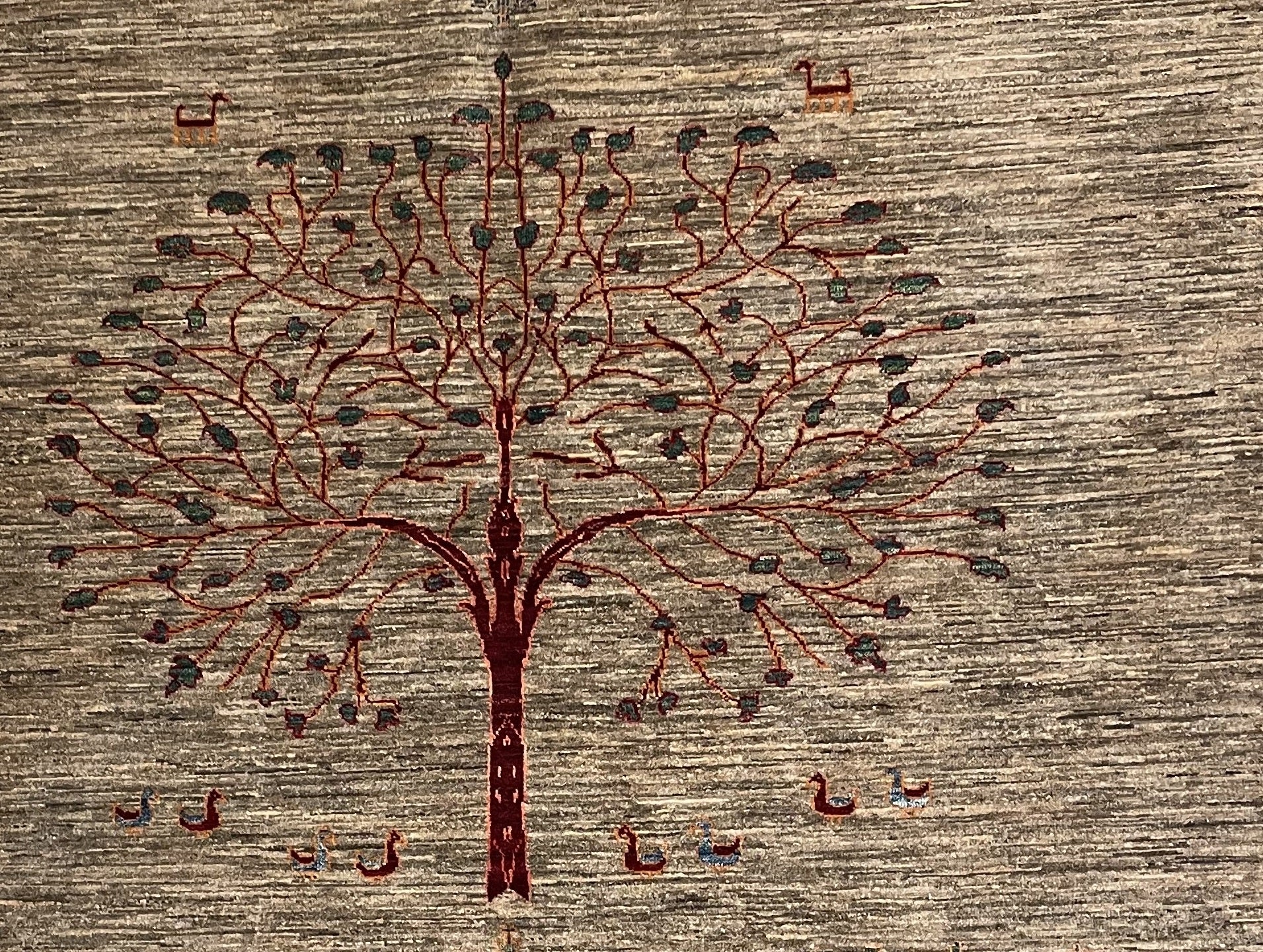 Aryana Modern 248 x 175