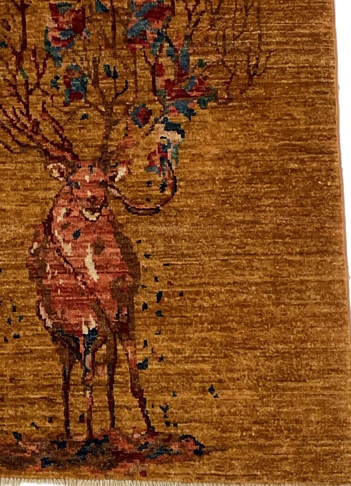 Aryana Modern 127 x 85