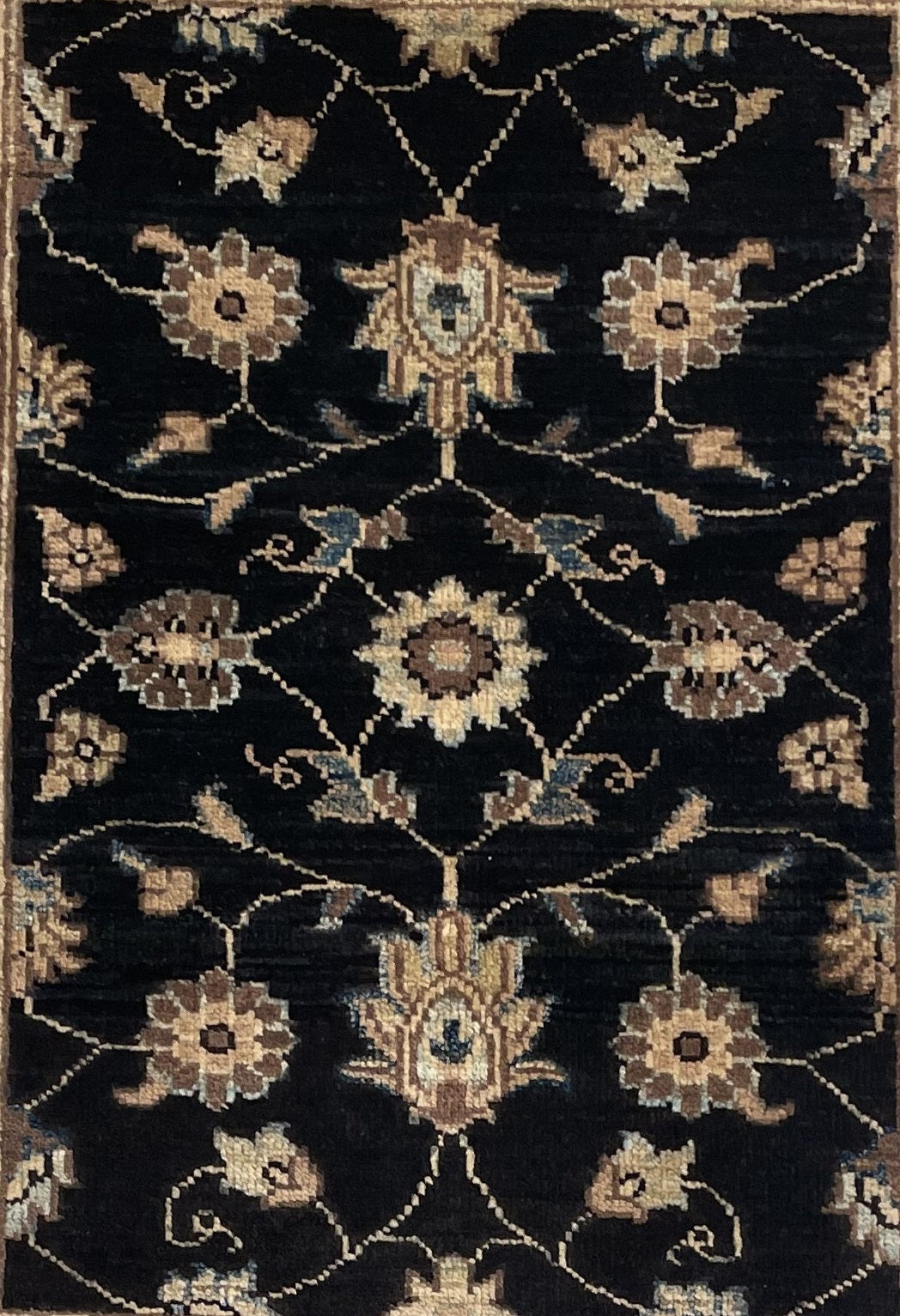 Ziegler FINE 79 x 58