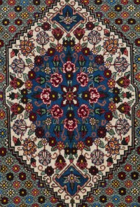 Bakhtiar X fine 147 x 96 (SAMLEOBJEKT)