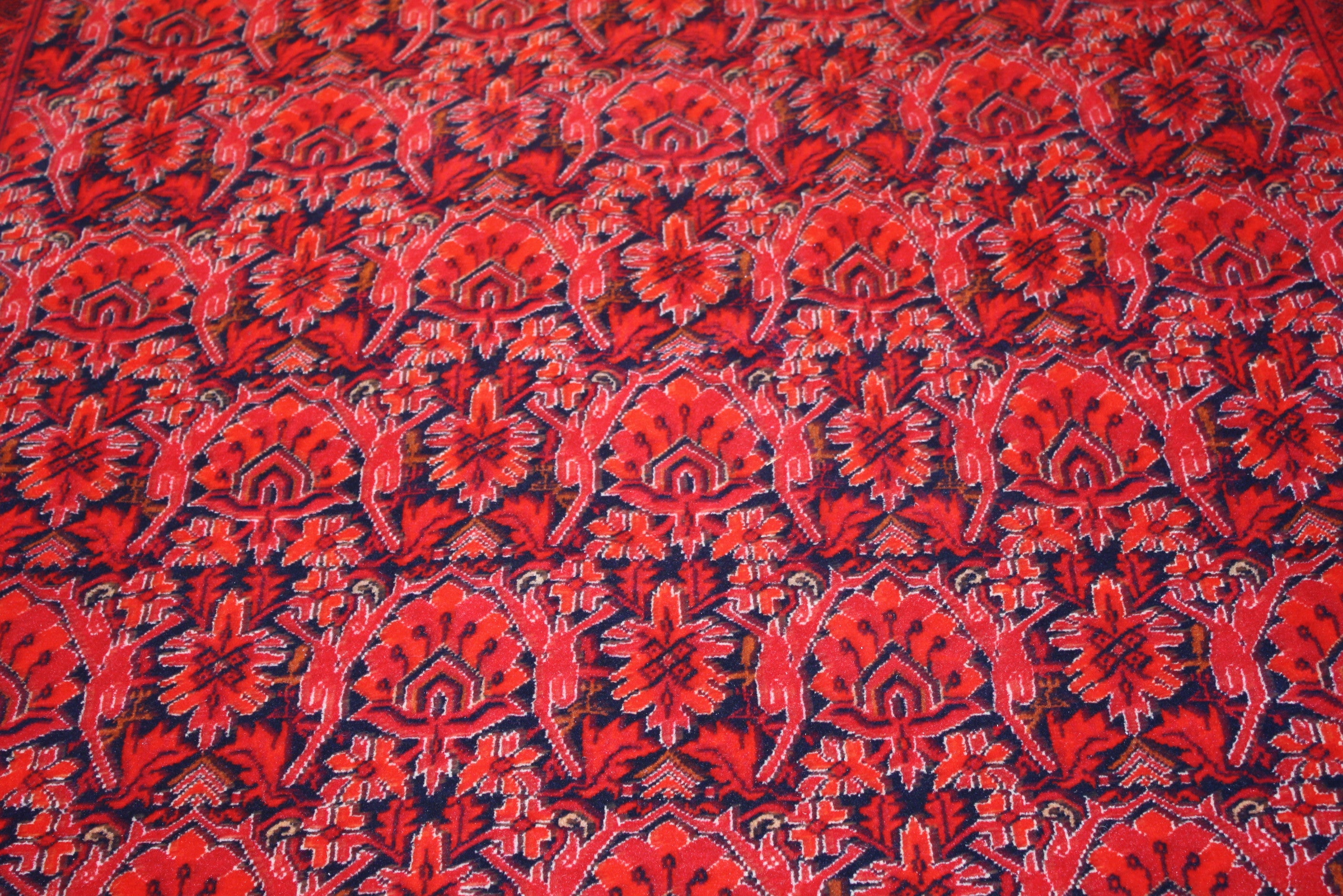 Fine Bokhara 279x198