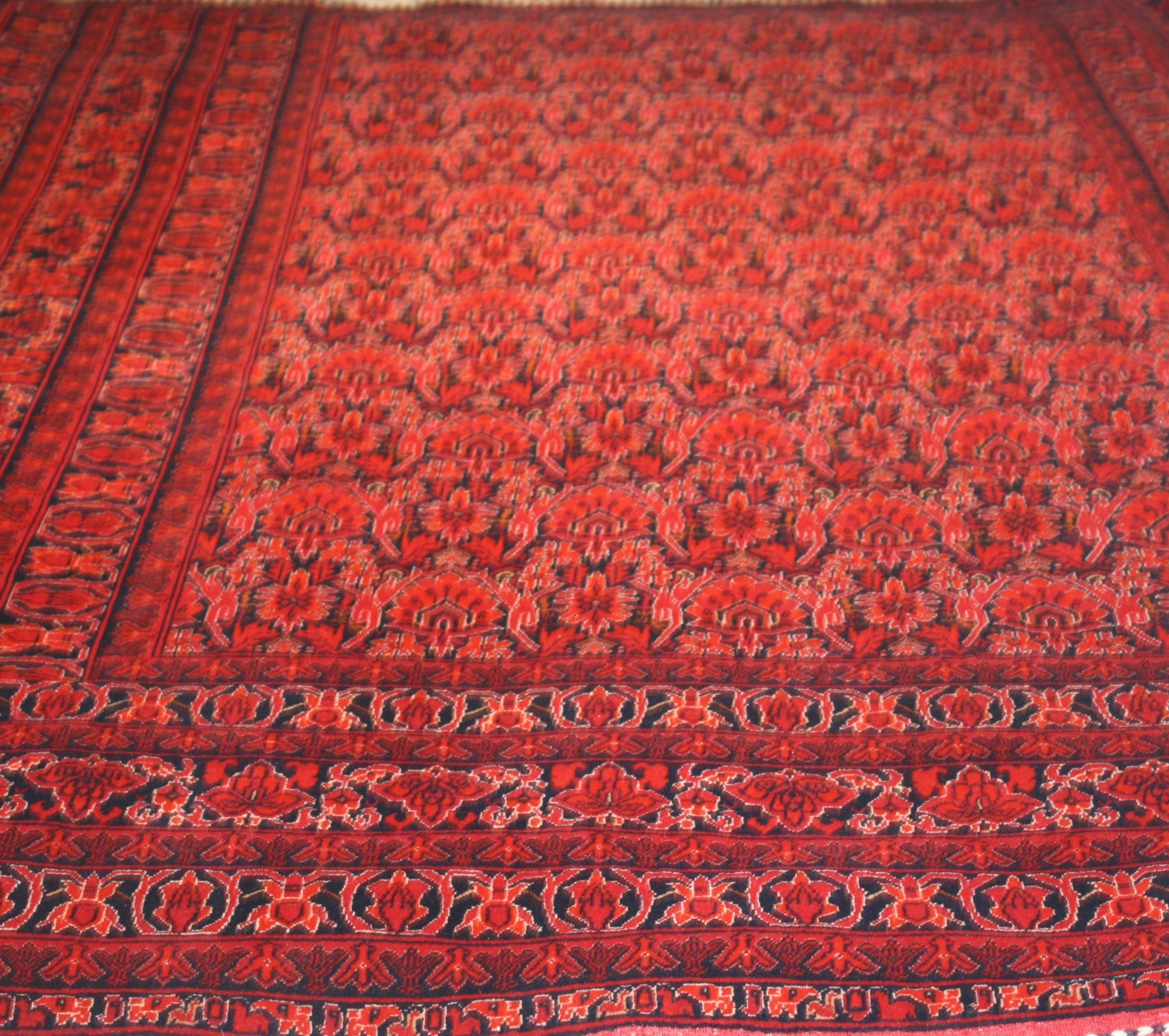 Fine Bokhara 279x198