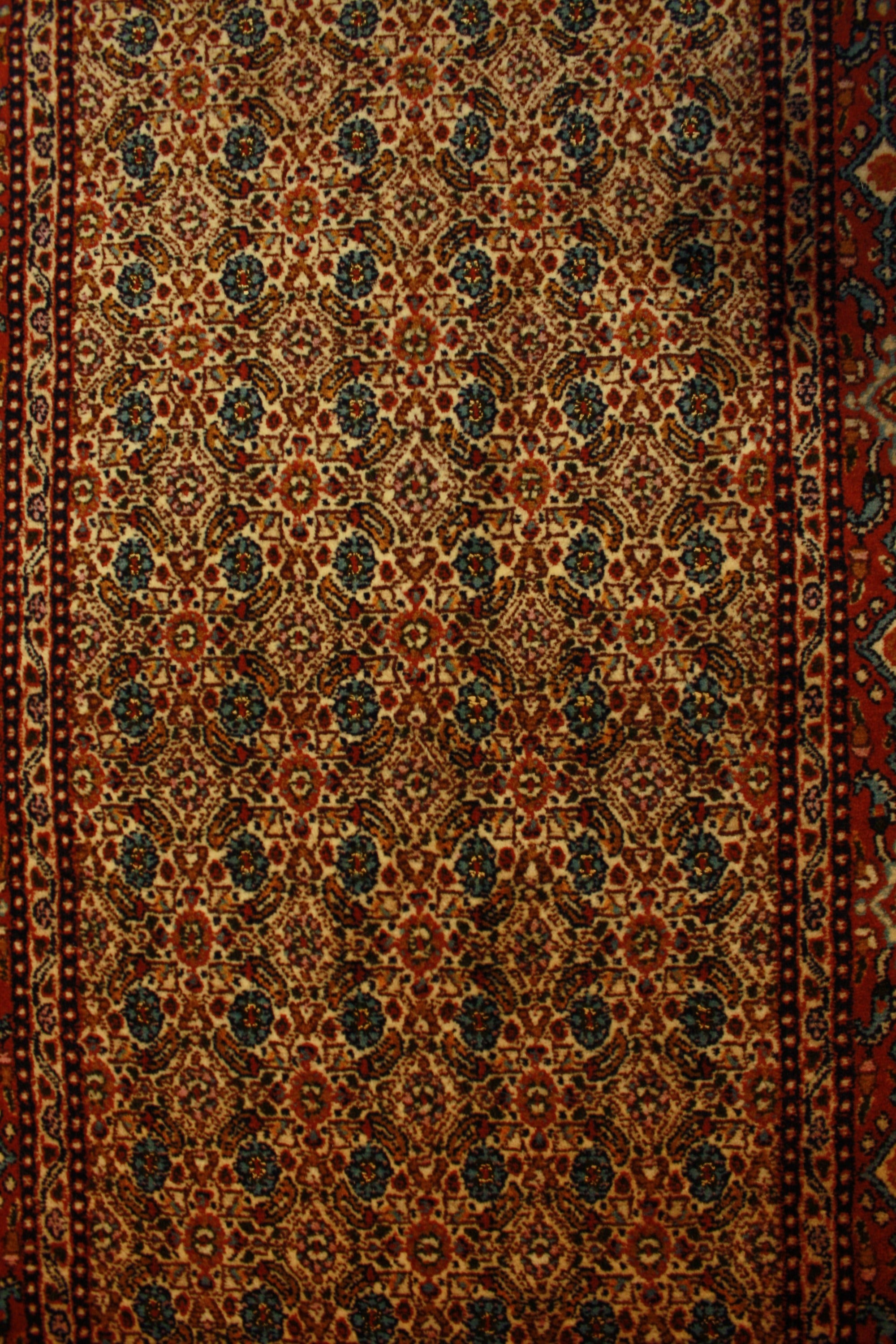 Moud Mahi 300x75