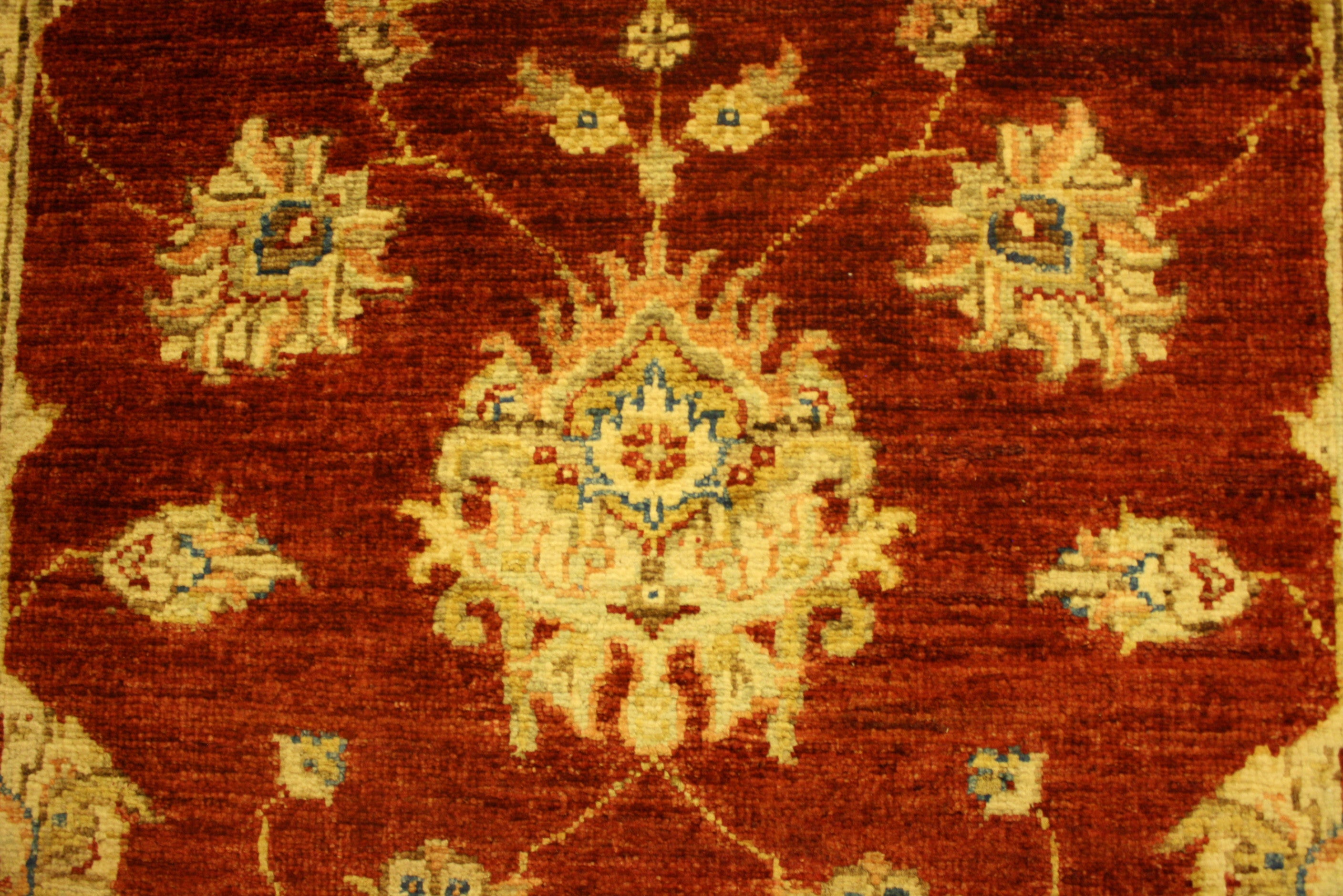 Ziegler løper 302x82