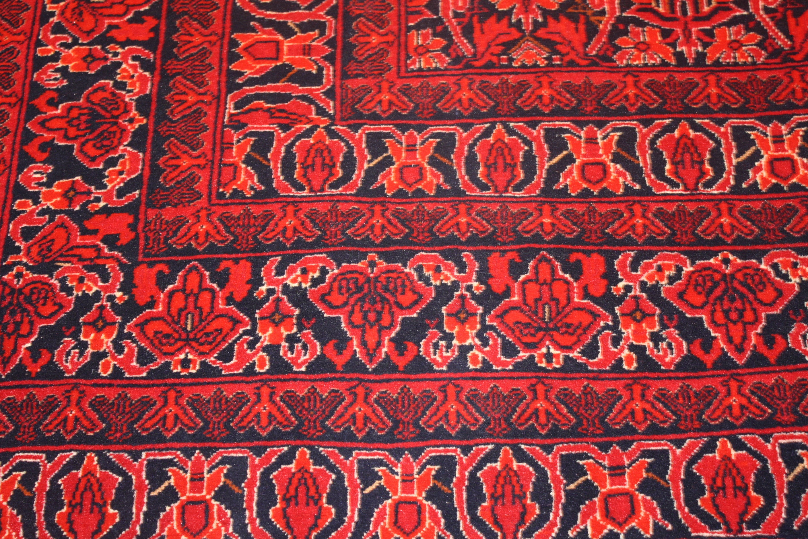 Fine Bokhara 279x198
