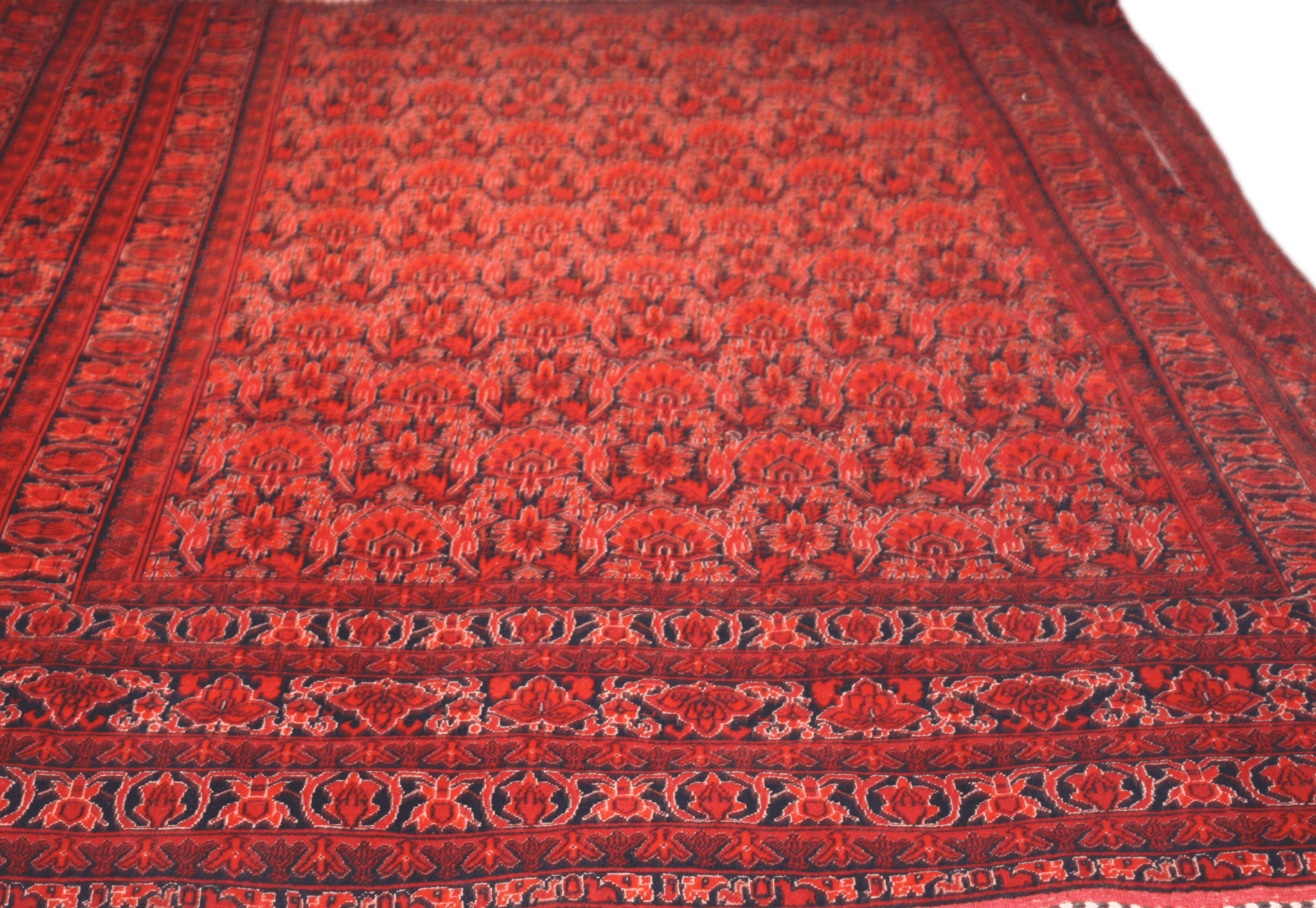 Bokhara Fine 279x198 - Saeidstepper