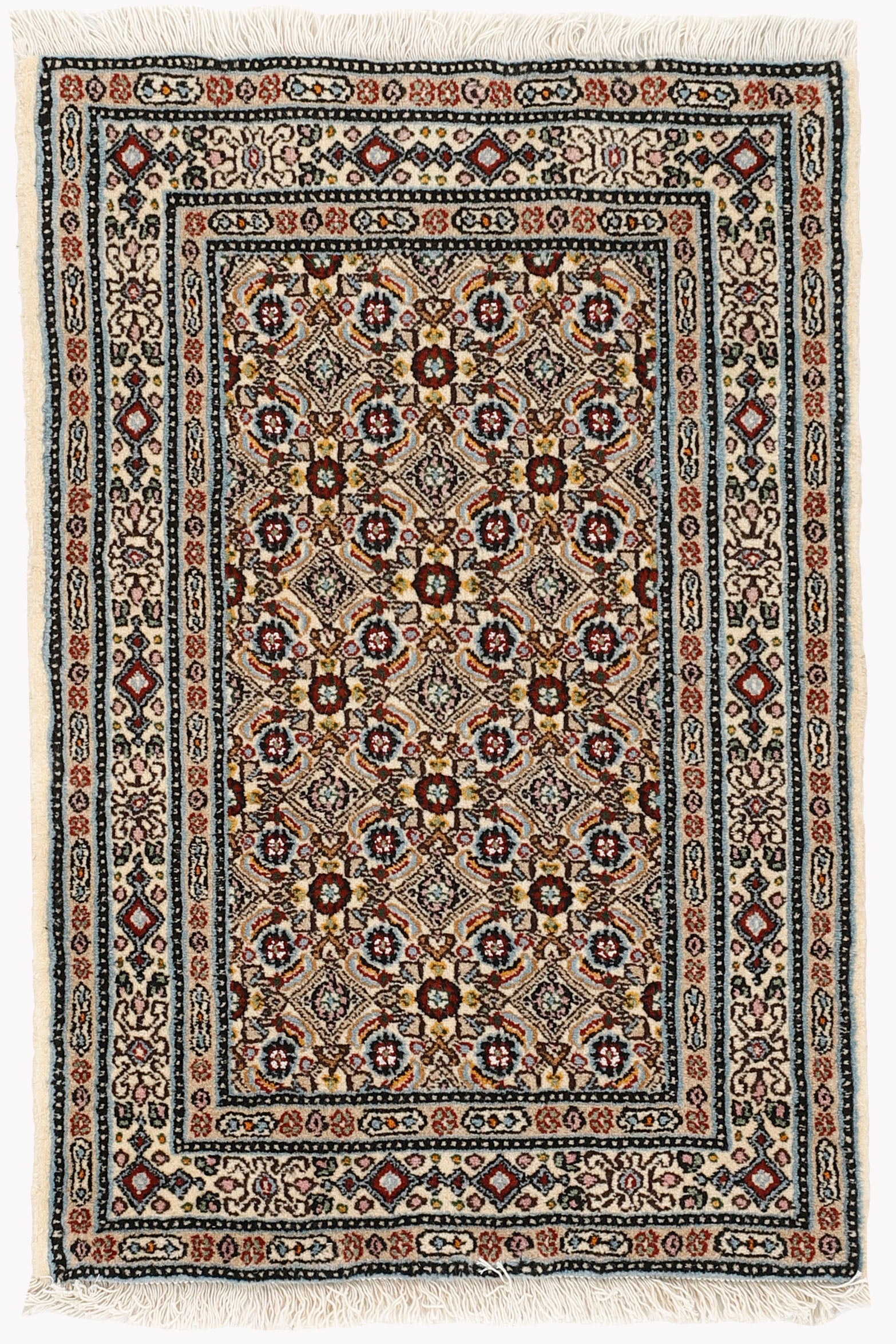 Moud "Mahi"  88 x 61