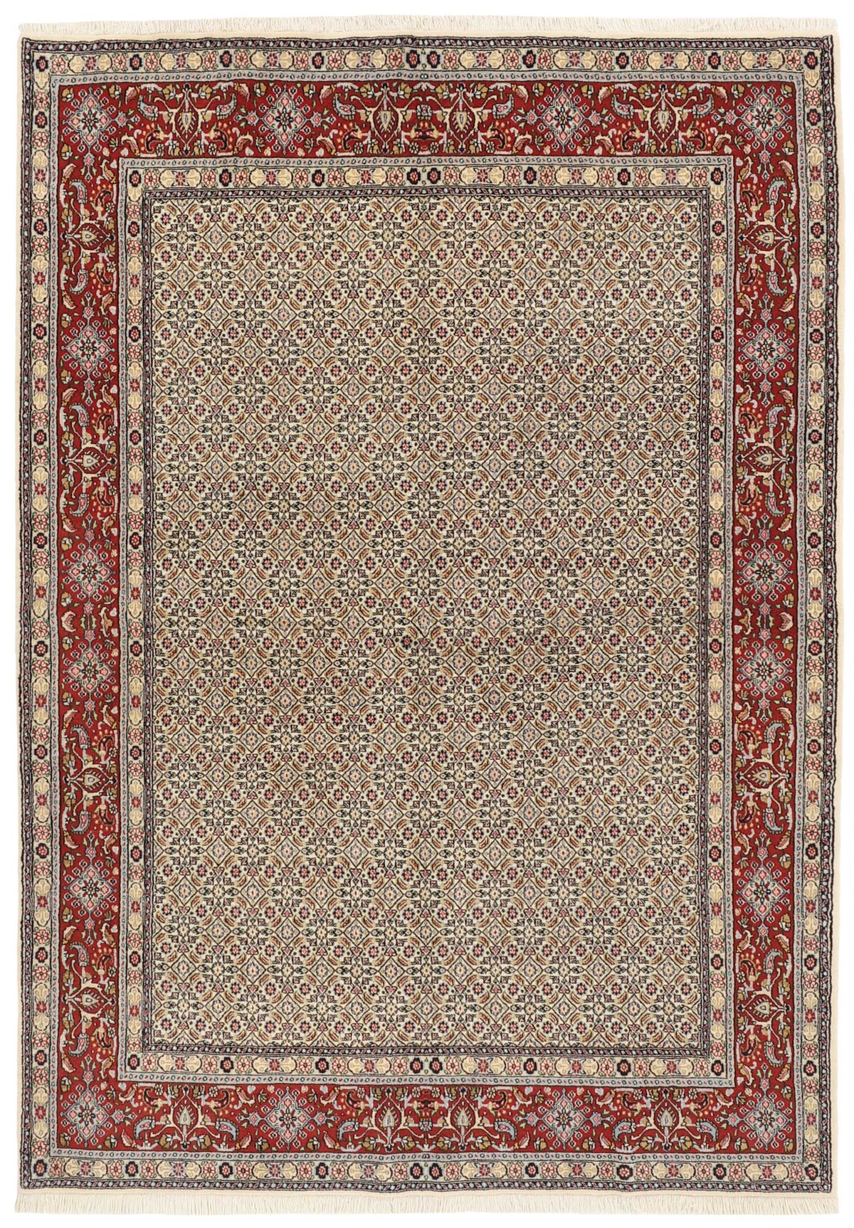Moud Mahi 236 x 166