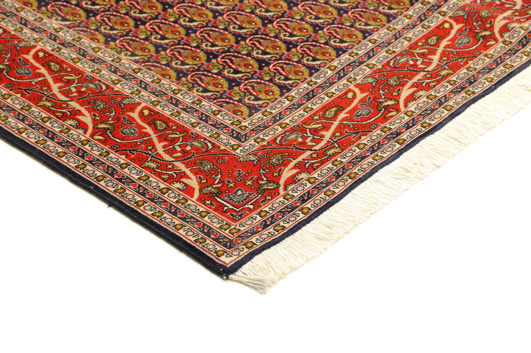 Tabriz 50 Raj Mahi 197 x 147